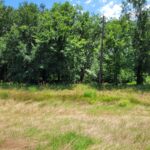 Property photo for land for sale in Lamar County Texas