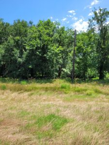Property photo for land for sale in Lamar County Texas