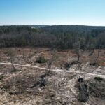Property photo for land for sale in Tattnall County Georgia