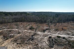 Property photo for land for sale in Tattnall County Georgia