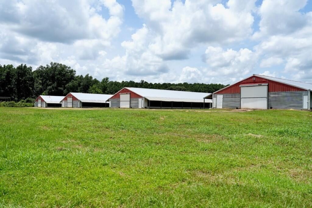 Property photo for land for sale in Amite County Mississippi