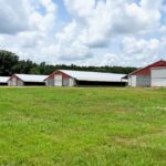 Property photo for land for sale in Amite County Mississippi