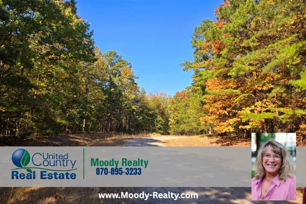 Property photo for land for sale in Cleburne County Arkansas