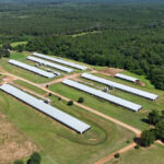 Property photo for land for sale in Union County Louisiana