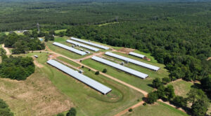 Property photo for land for sale in Union County Louisiana