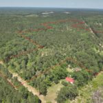 Property photo for land for sale in Ouachita County Arkansas
