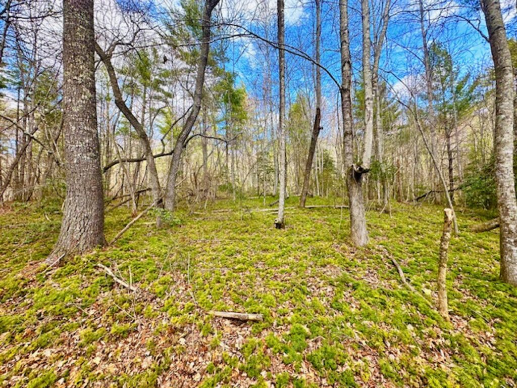 Property photo for land for sale in Morgan County Tennessee