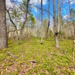 Property photo for land for sale in Morgan County Tennessee