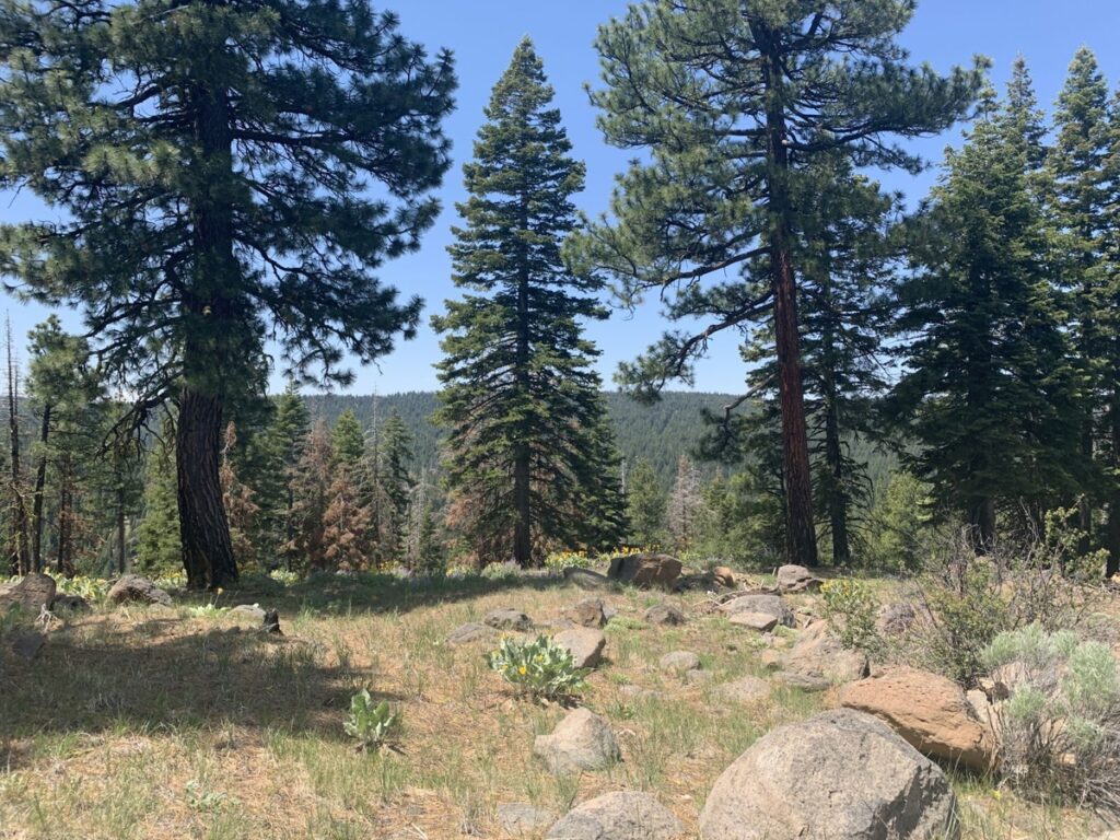 Property photo for land for sale in Modoc County California