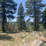 Property photo for land for sale in Modoc County California