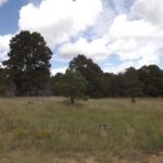 Property photo for land for sale in Bernalillo County New Mexico