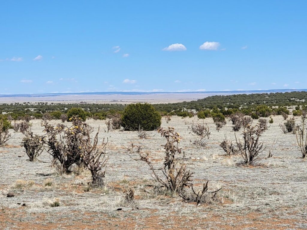 Property photo for land for sale in Torrance County New Mexico