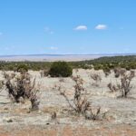 Property photo for land for sale in Torrance County New Mexico