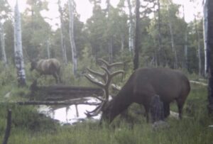 Property photo for land for sale in Montrose County Colorado