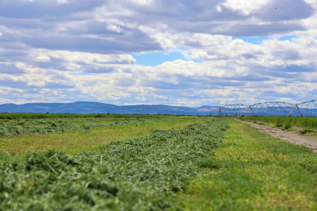 Property photo for land for sale in Harney County Oregon