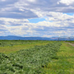 Property photo for land for sale in Harney County Oregon