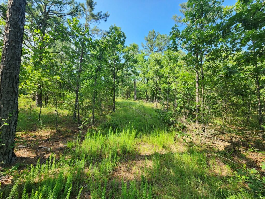 Property photo for land for sale in Le Flore County Oklahoma