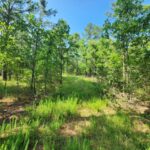 Property photo for land for sale in Le Flore County Oklahoma