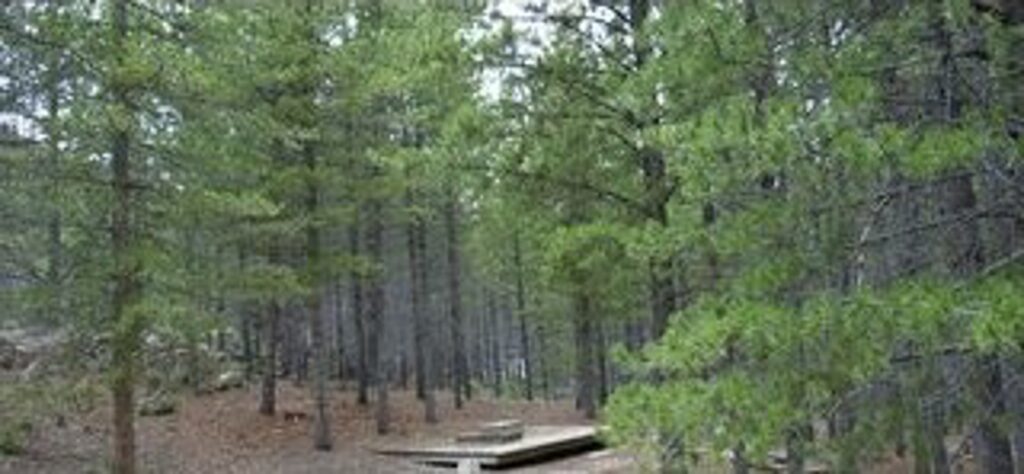 Property photo for land for sale in Larimer County Colorado