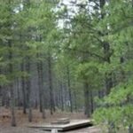 Property photo for land for sale in Larimer County Colorado