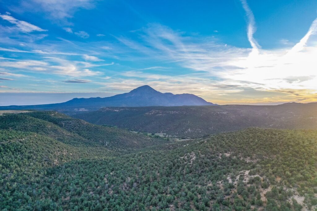 Property photo for land for sale in Montezuma County Colorado