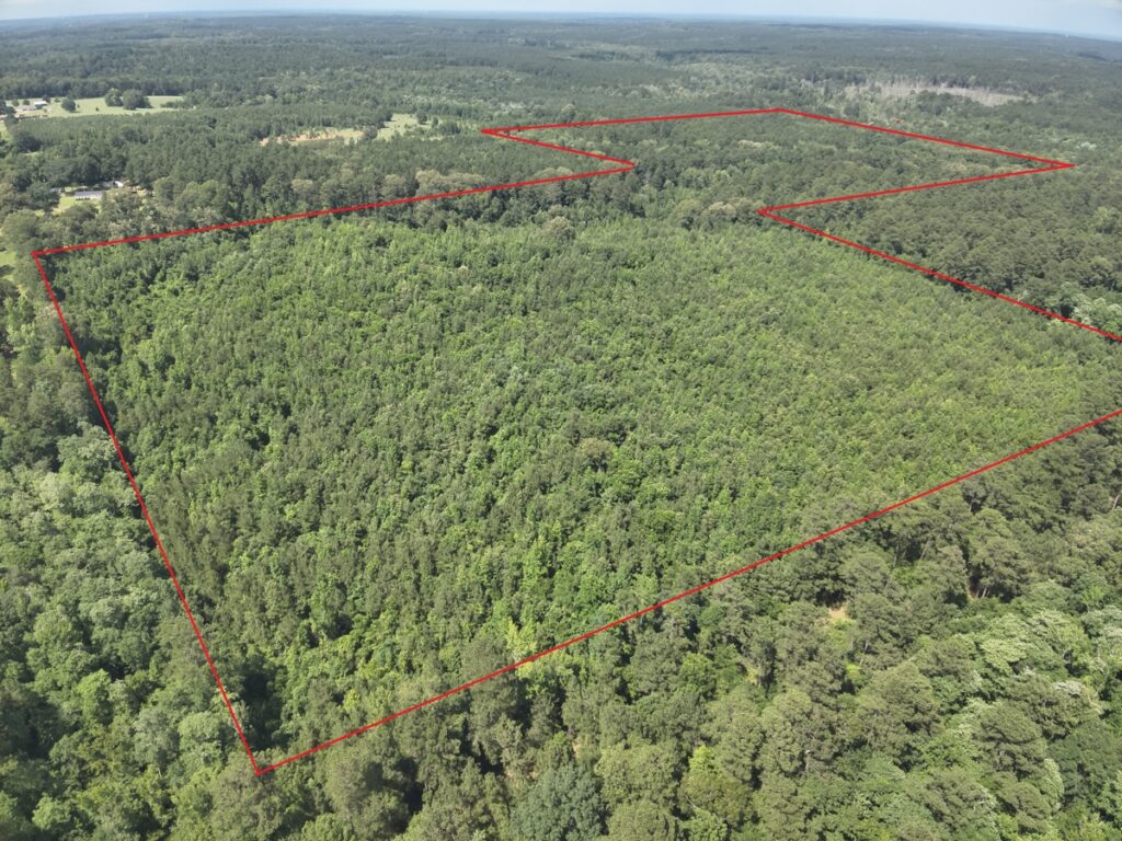 Property photo for land for sale in Ouachita County Arkansas