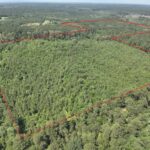 Property photo for land for sale in Ouachita County Arkansas