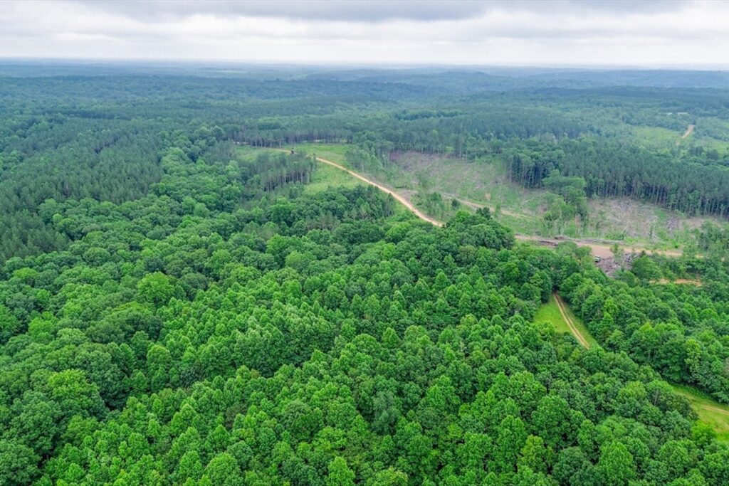 Property photo for land for sale in Lewis County Tennessee