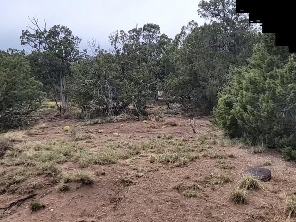 Property photo for land for sale in Torrance County New Mexico