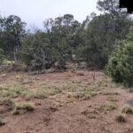 Property photo for land for sale in Torrance County New Mexico