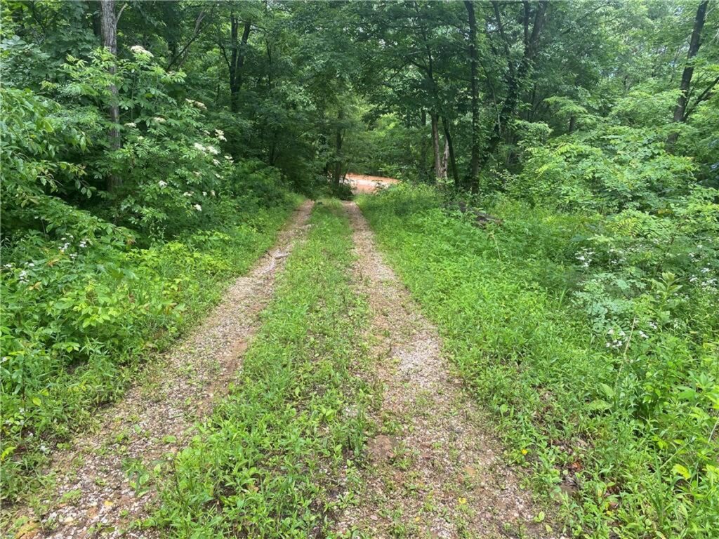 Property photo for land for sale in Newton County Arkansas