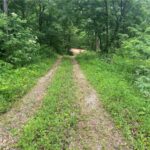Property photo for land for sale in Newton County Arkansas