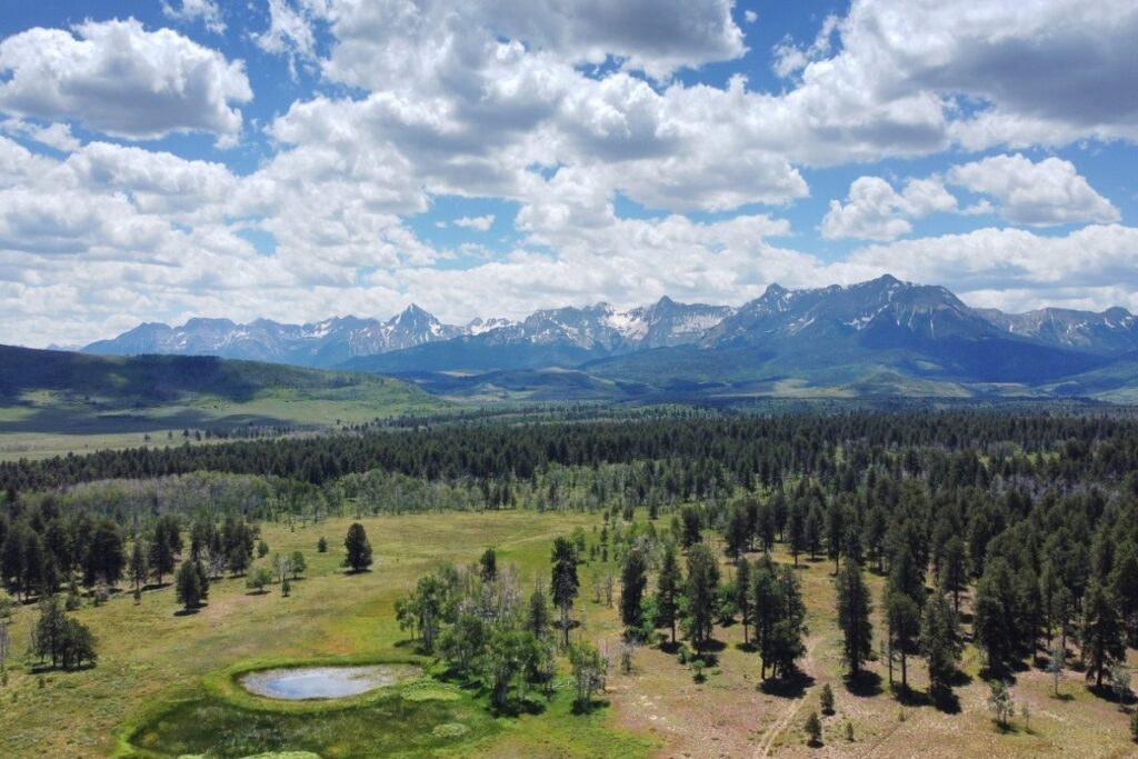 Property photo for land for sale in Ouray County Colorado