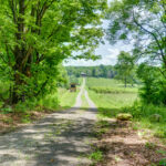 Property photo for land for sale in Herkimer County New York