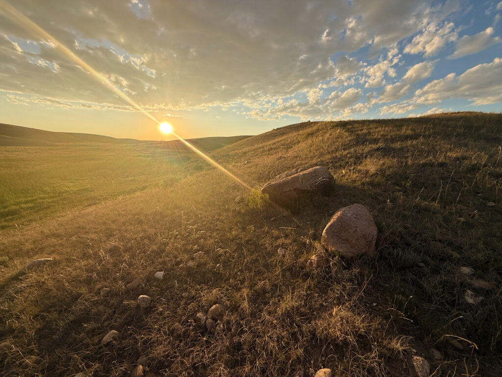 Property photo for land for sale in Phillips County Montana