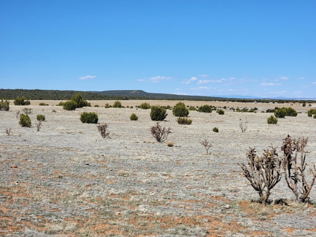 Property photo for land for sale in Torrance County New Mexico