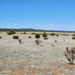Property photo for land for sale in Torrance County New Mexico