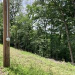 Property photo for land for sale in Carroll County Arkansas