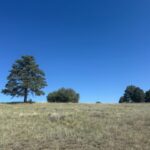 Property photo for land for sale in Rio Arriba County New Mexico