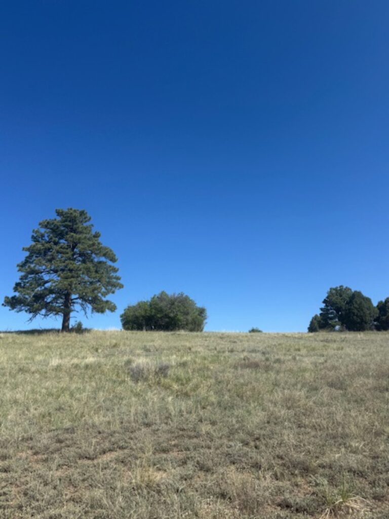 Property photo for land for sale in Rio Arriba County New Mexico