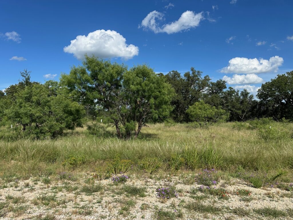 Property photo for land for sale in Brown County Texas