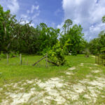 Property photo for land for sale in Dixie County Florida