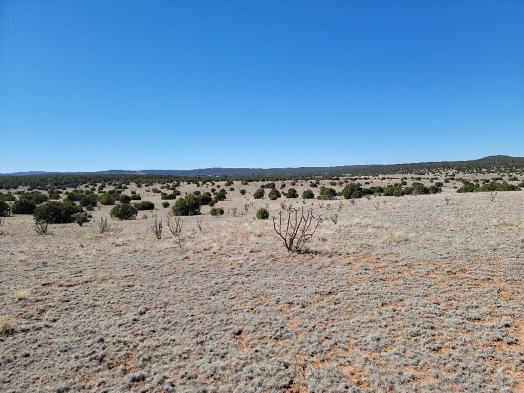 Property photo for land for sale in Torrance County New Mexico