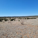 Property photo for land for sale in Torrance County New Mexico