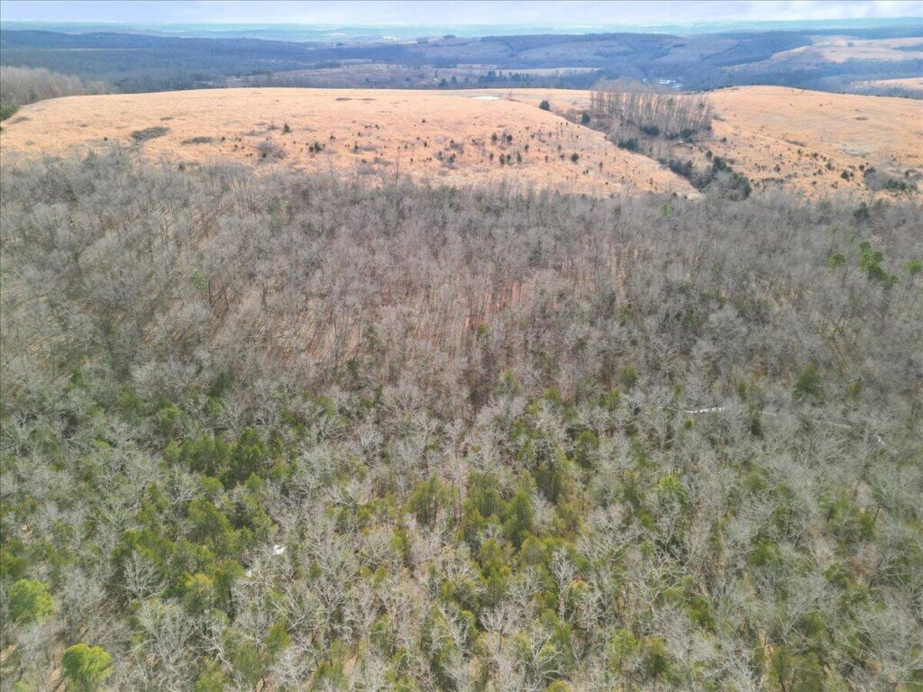Property photo for land for sale in Ozark County Missouri