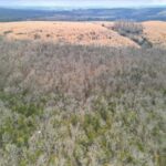 Property photo for land for sale in Ozark County Missouri
