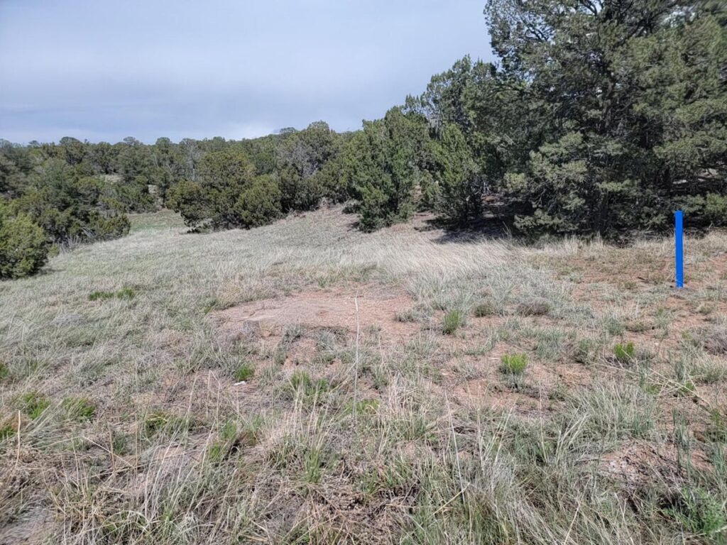 Property photo for land for sale in Torrance County New Mexico