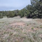 Property photo for land for sale in Torrance County New Mexico
