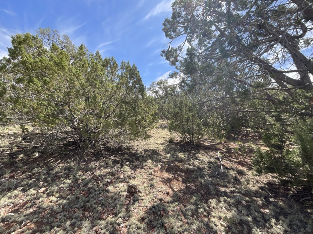 Property photo for land for sale in Yavapai County Arizona