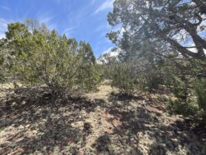Property photo for land for sale in Yavapai County Arizona